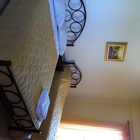 Eleana Studios * Frinion