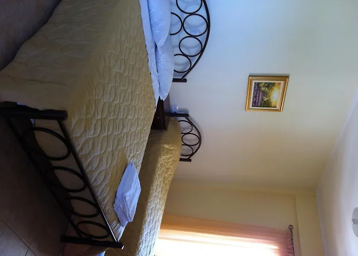 Eleana Studios * Frinion